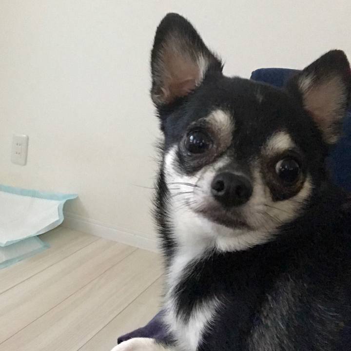 F181ae5b db8c 4c68 8cf7 e4a5ade43ca3