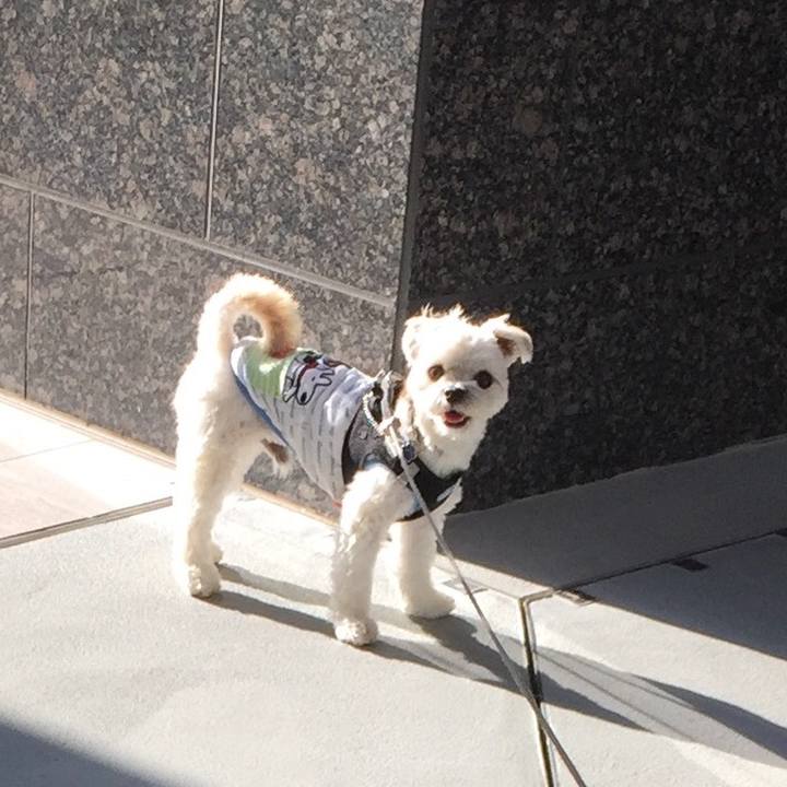 F1824551 36ba 4bf2 8fa8 7af3903b21a3