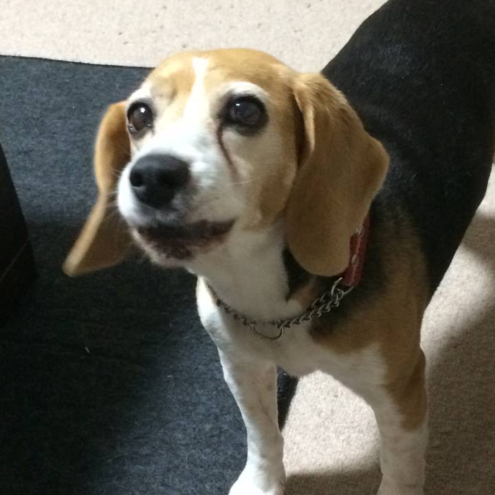 F182a8bd 6382 4e68 834b e3ae69e61dea