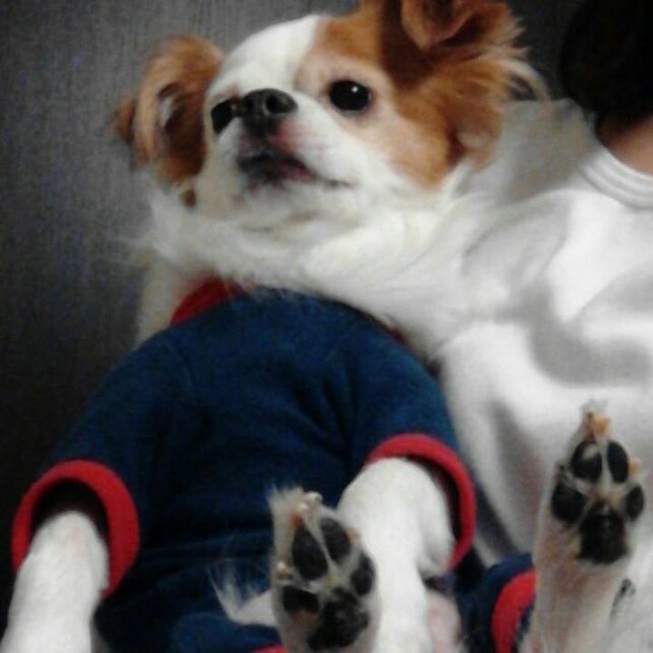 F182d318 4384 4823 9730 c6d93c75f736