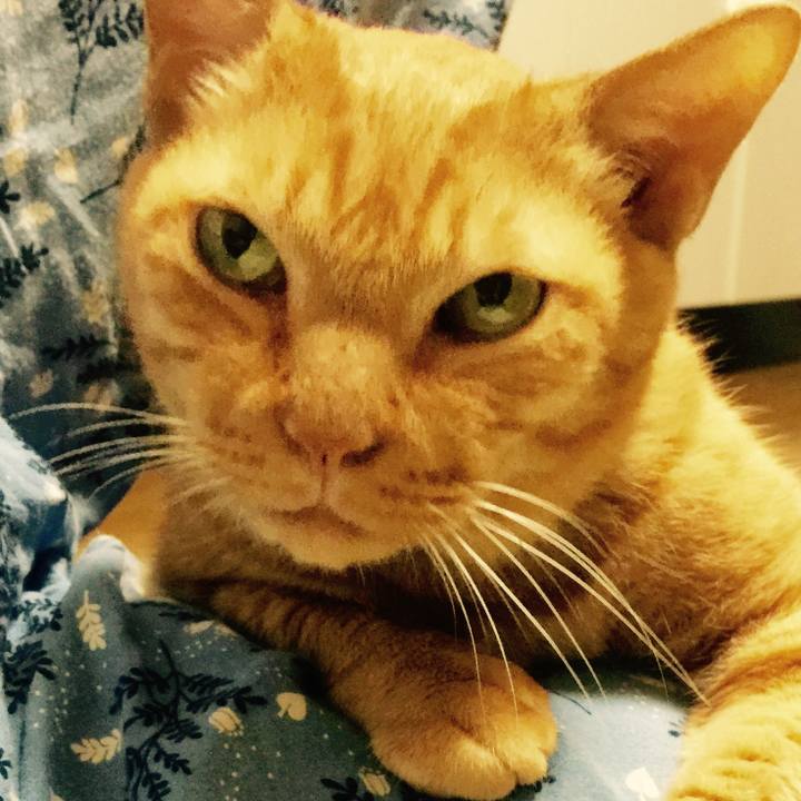 F1839884 db56 4ec2 9331 227b6548e52a