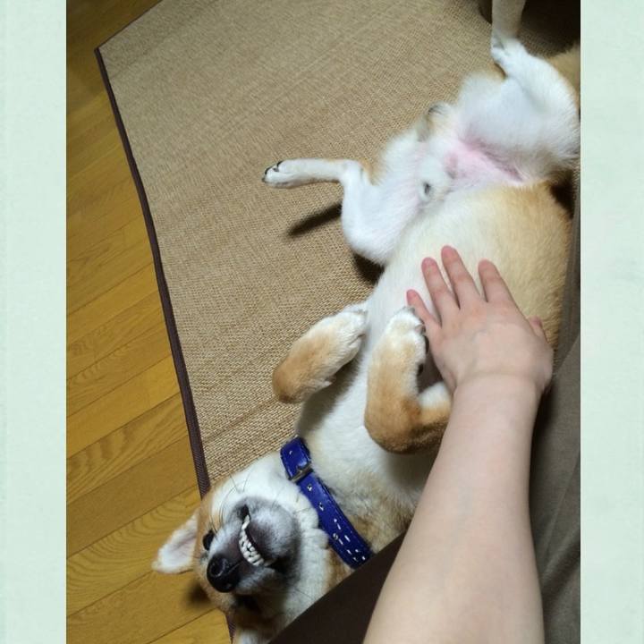 F1839a63 2a3c 406f bc77 44b249efb6fc