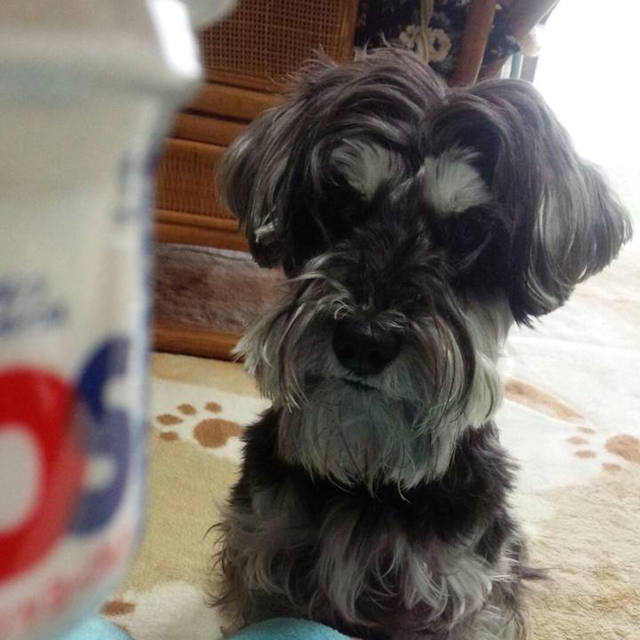 F1841250 30be 48c3 b3fd 4a4df6dbe8a0