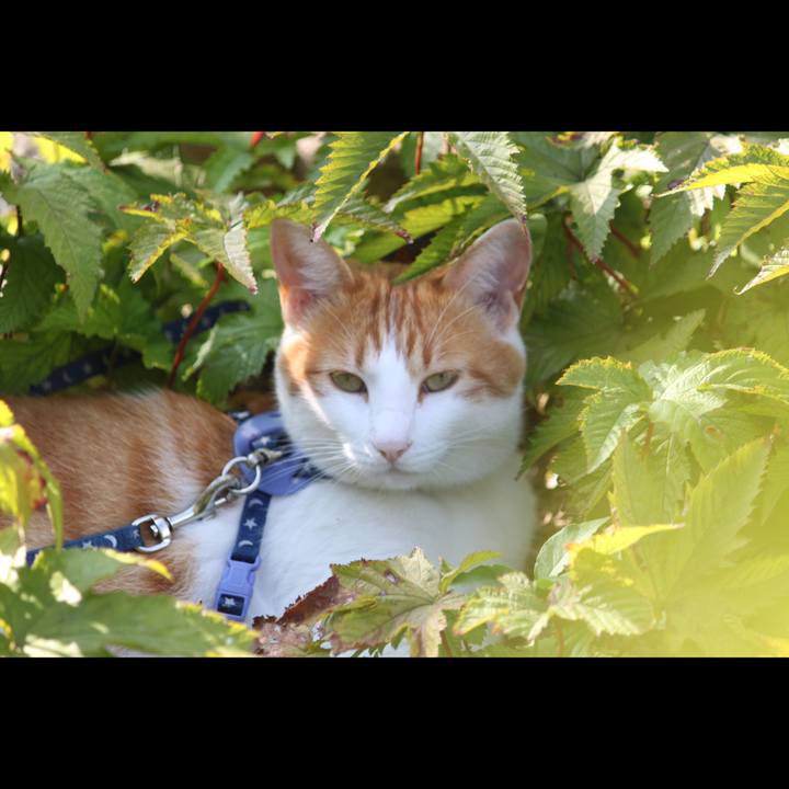 F18456ca 9e0f 4067 8724 786c6d893988