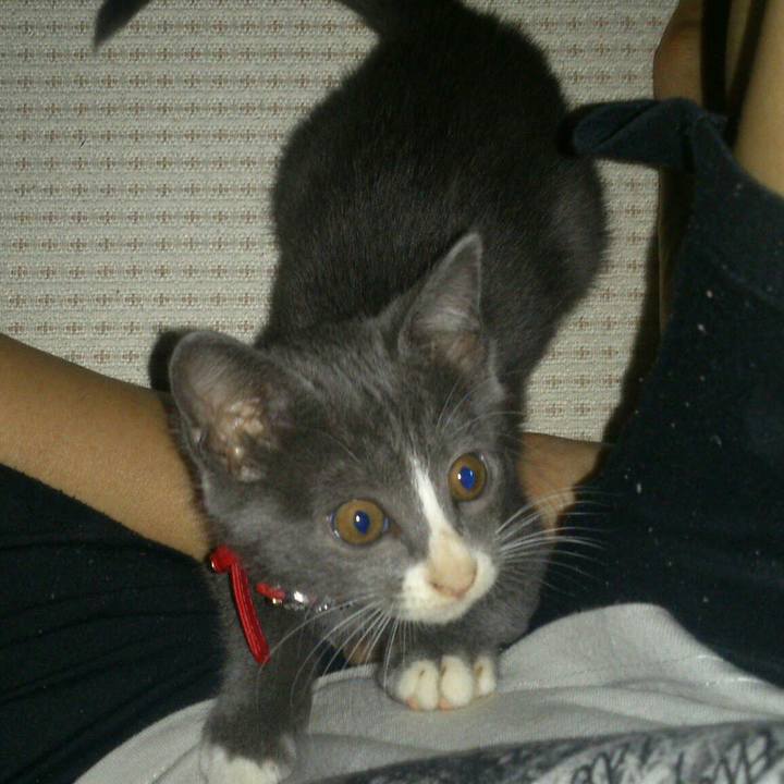 F18598b0 ca52 44ba 98d5 932f2c409786