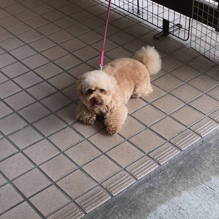 F185d0b1 da5d 438f 9d25 6bc3a5451c7b