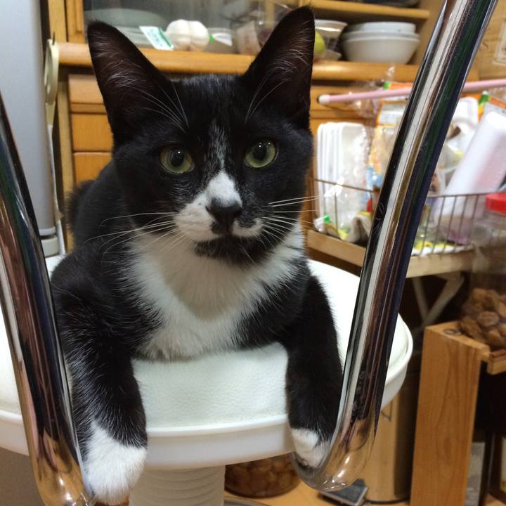 F18602d5 aa00 4dcf b734 73e1a5727585