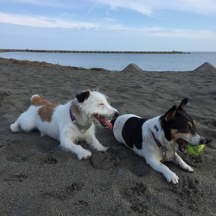 F186d892 ac54 4536 b61b aefb125a25b8