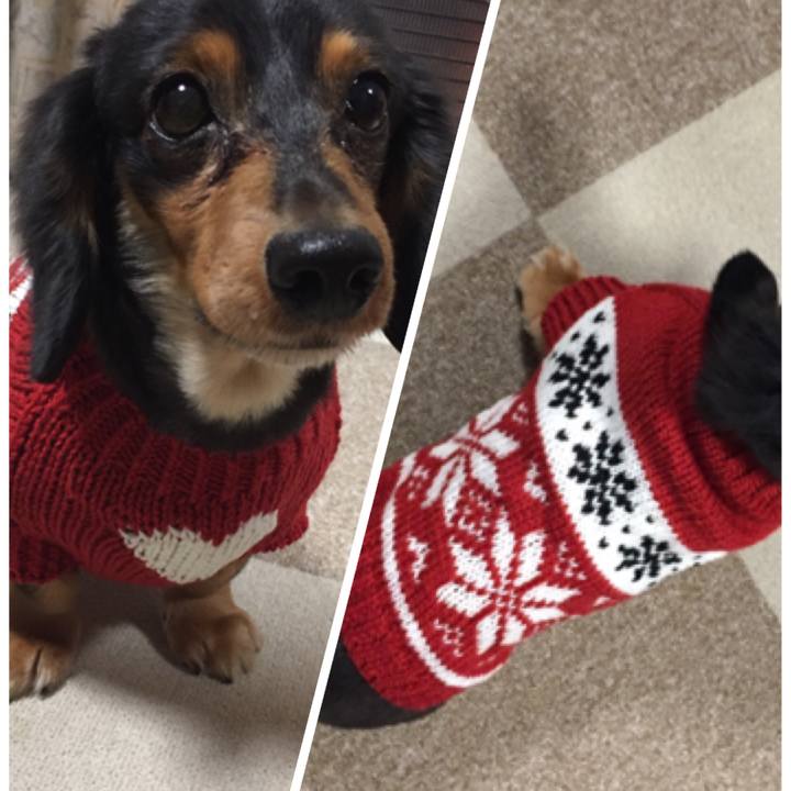 F18701f0 f42d 473e b4f7 e63327b85503