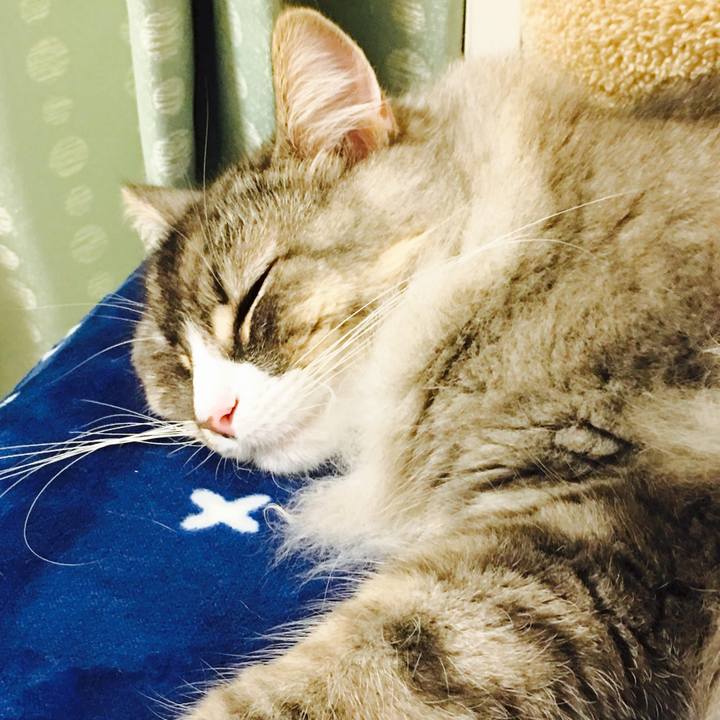 F18739f0 3b4c 4193 a023 58b39298d255