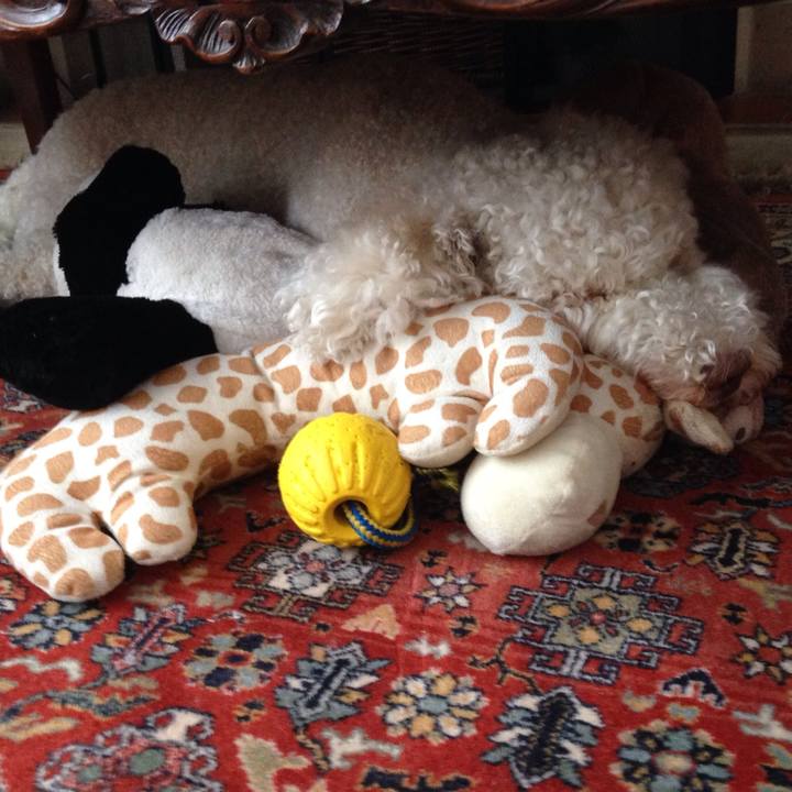 F1874df5 ec7b 4cda 8d8c b57a5b25c00b