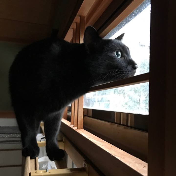 F1875863 4fca 4832 9ce9 05802eb6b846