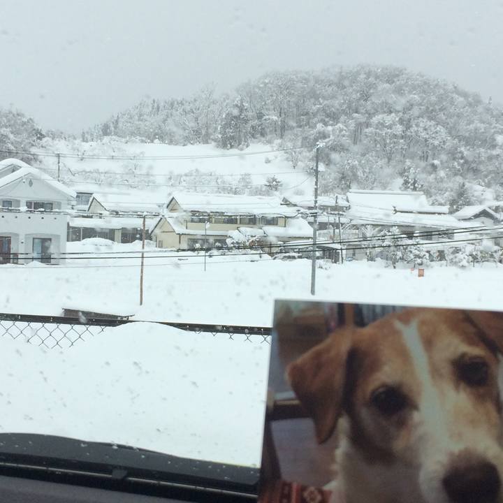 F1877528 2d31 484a b4fd 86efd2a771b8