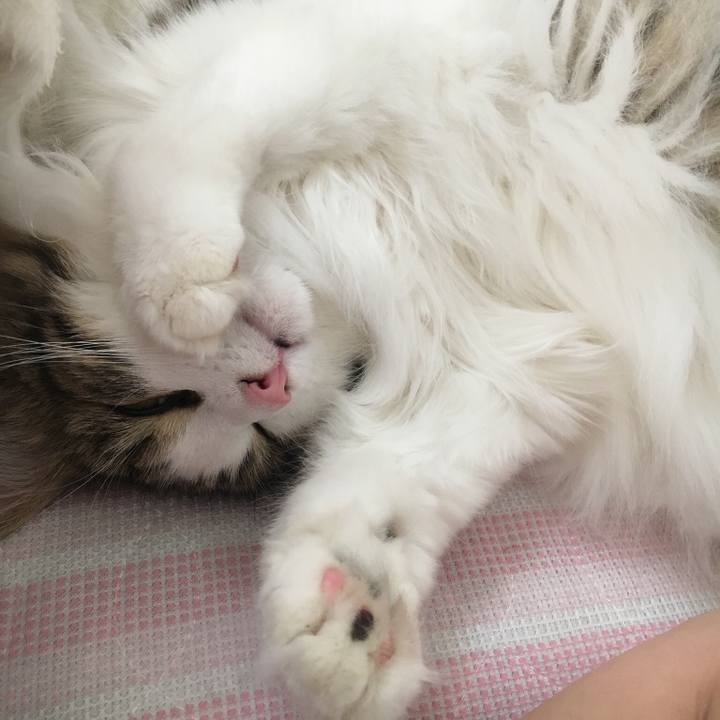 F1877755 78d9 49dd b1e8 8ac87f48a6d2