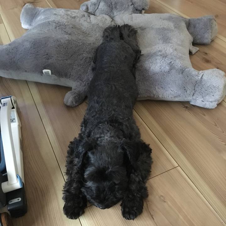 F188dbe2 c0a9 496f 8247 e323afba5aa0