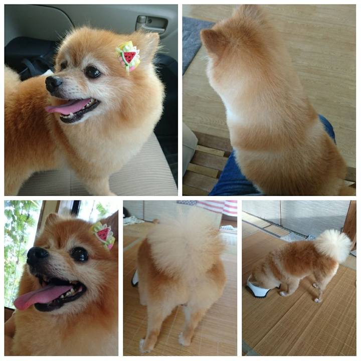 F188ebf0 6d05 46c3 b6d9 485ad291d97b