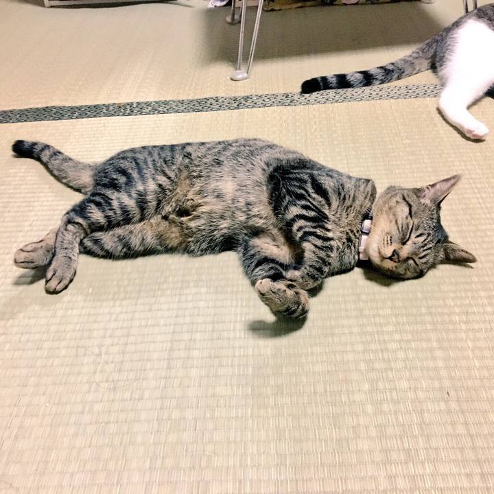 F1891173 87ba 42e3 9a23 9cf46fa071c3