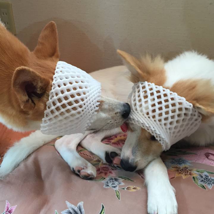 F189117e 964a 46d2 9387 2359fb0751ae