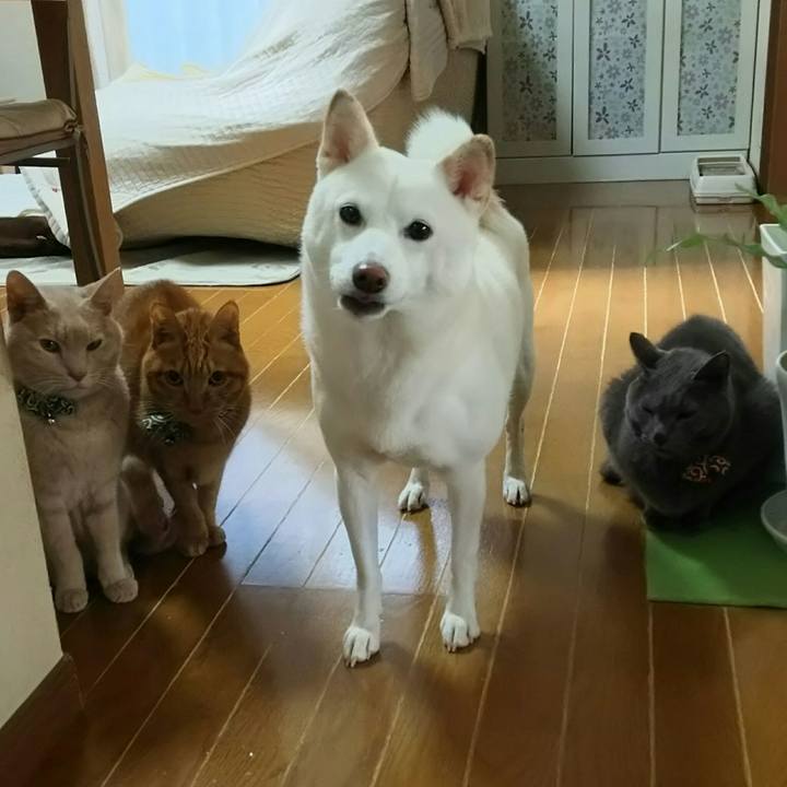 F189963d da26 4493 89a9 29179e0cfefb