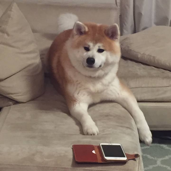 F189fc92 d3c6 4c97 8d24 1a5b96e032e9