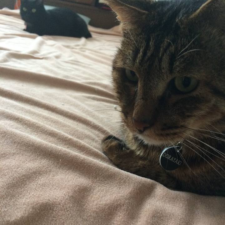 F18a3c01 7cb2 46f0 bc33 b866cda472b4