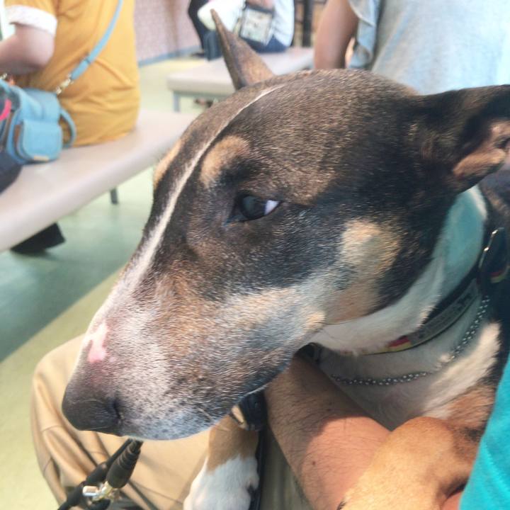 F18ae10a 67a6 4d49 9d83 33f071eb4294