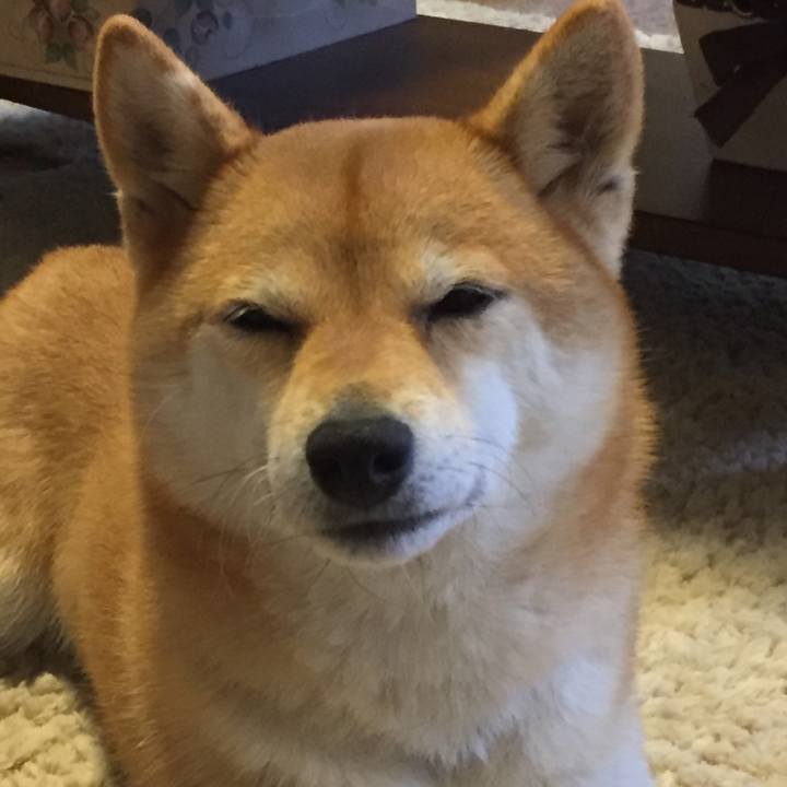 F18b8cf0 ff18 42a7 9d79 3554468e4c68