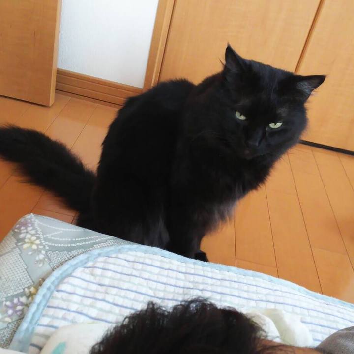 F18b9e9b 3e38 4123 a937 9c9143eb79cd