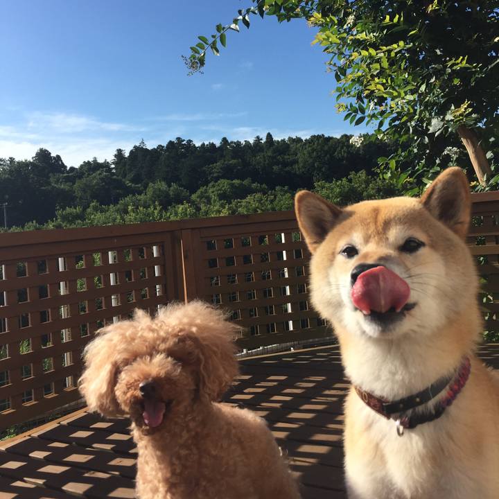 F18c1e4f 24f2 4783 a946 fc3d4c7139ce