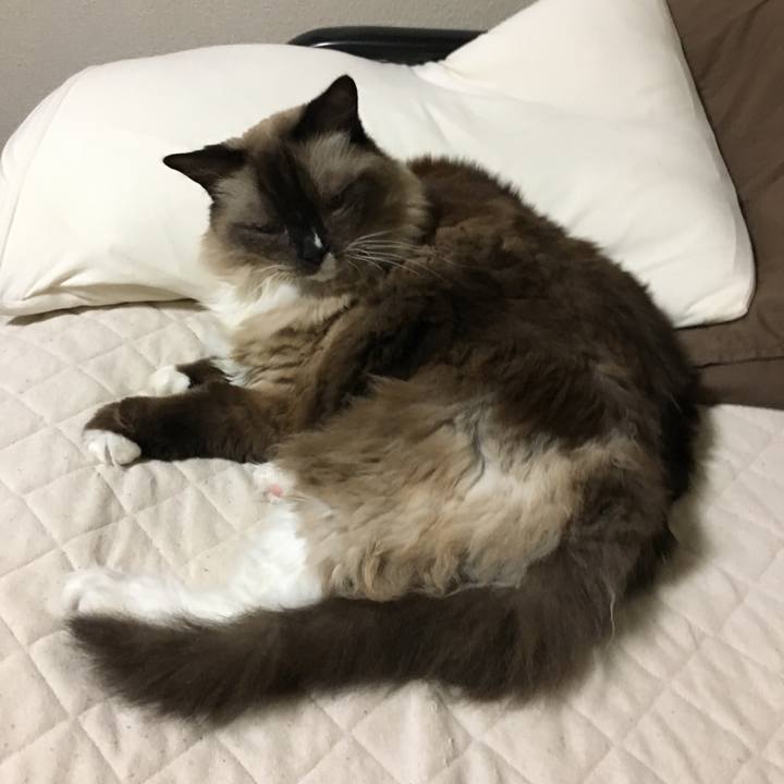 F18cccd5 0c8d 4fbc 9013 c7e00668b64c