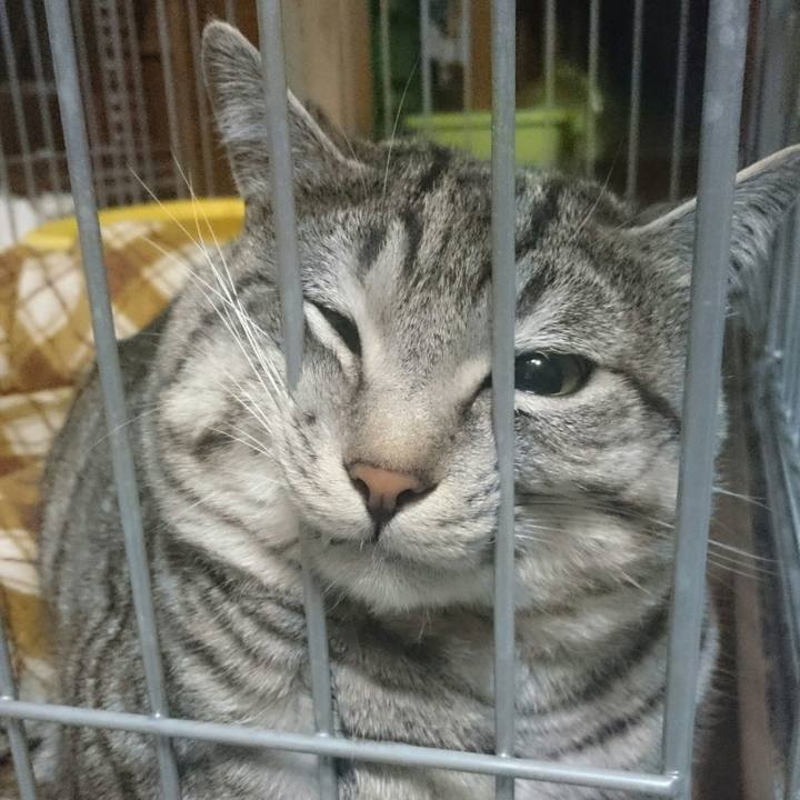 F18ce639 e474 406e b18f 2b5361f1b65a