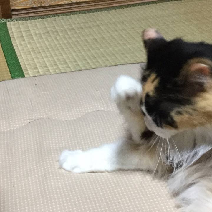 F18d2ad5 0bf1 4101 bf31 2f6048c92154