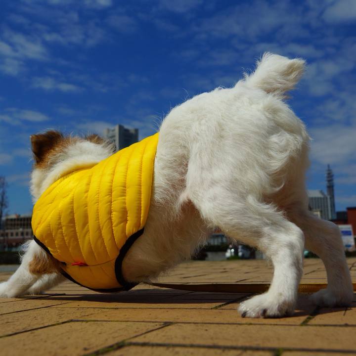 F18d5fb2 8b66 4c73 bc4f 786b03103f0f