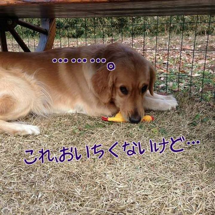 F18d72cd e1ee 42f5 8458 8d79dff28bdd