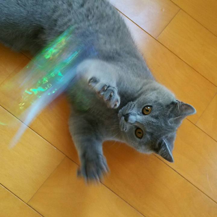 F18d7859 15c0 4c58 8d72 72ce8bf898e2