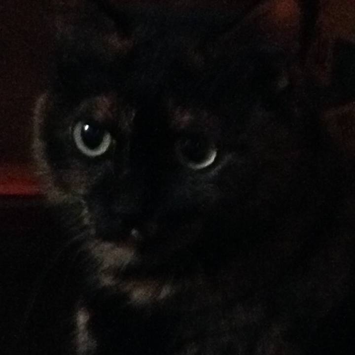 F18da762 f15a 410f 9290 d315f237e36a