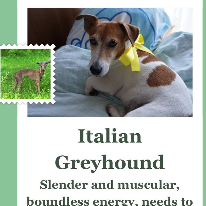 F18e070f 5dc7 450c b198 ad8424c26947