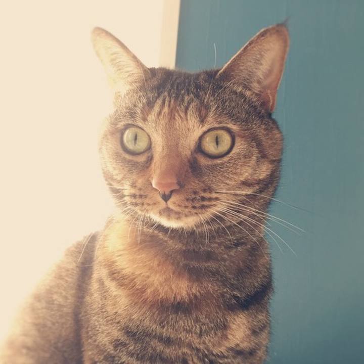 F18eac11 5219 46e2 ac5e 8557eaf98c33