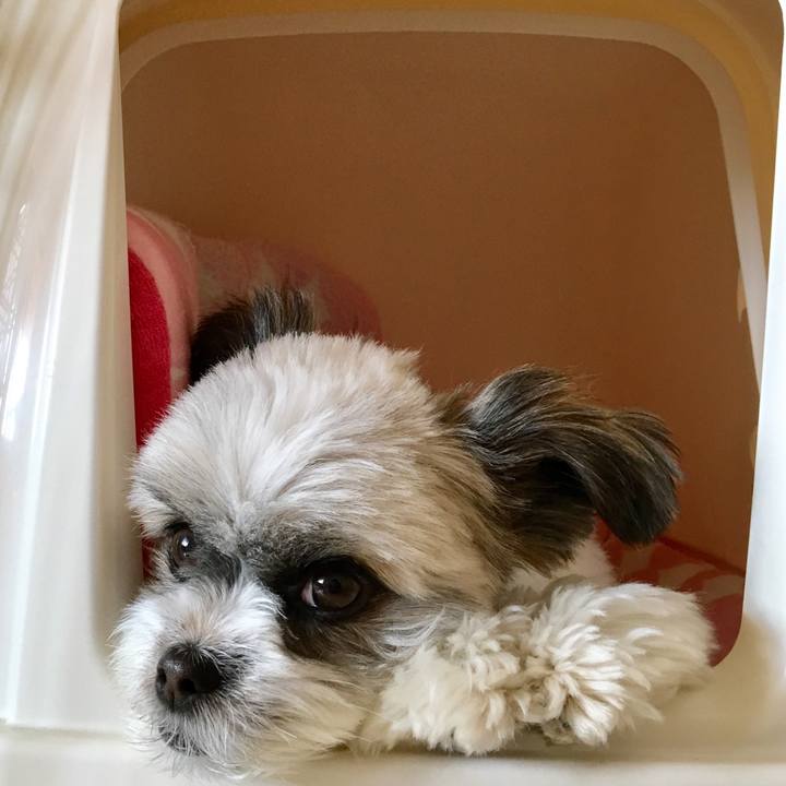 F18ec968 2a2a 484d bc3f 305e7b169cf8