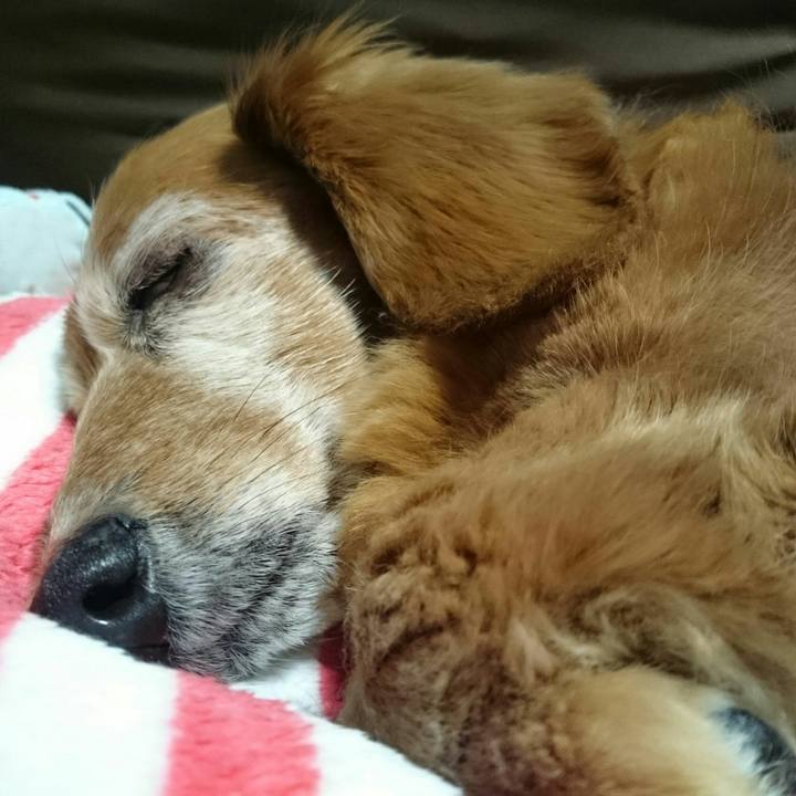 F19033d9 7031 4543 ae3b 426801e5579e