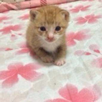 F190d4e6 220a 4b25 9b48 be91bbae9b01