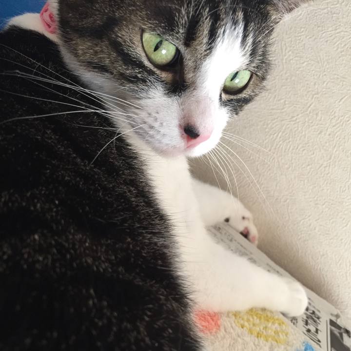 F190ec7b 7ba6 4799 b8b8 4b7abb332ca7