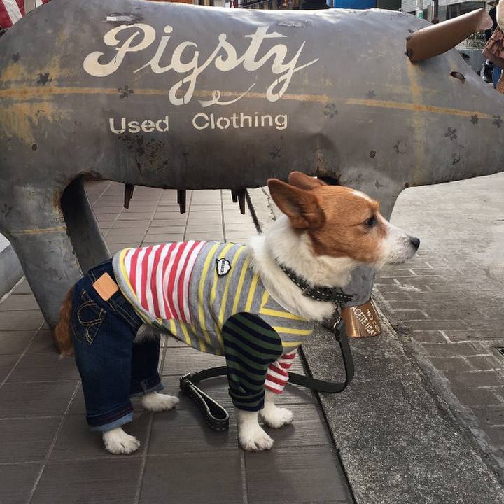 F1915125 ace6 407a 90b5 9fbddb1d3c1d