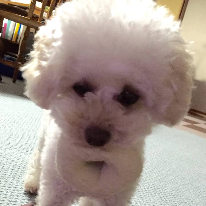 F1919281 48ce 4cf9 9af3 72c3aa6bb429