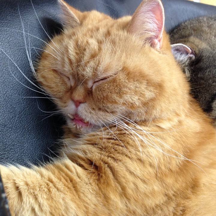 F191a3ce 3a89 4a46 8f3e 03f58756e42d