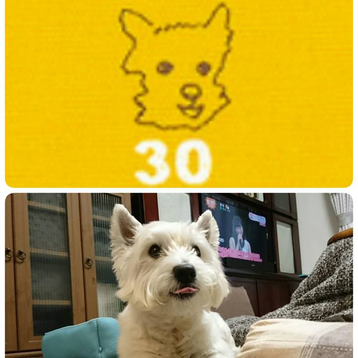 F191e6ed 15f2 4de6 b63d 059374dfb906