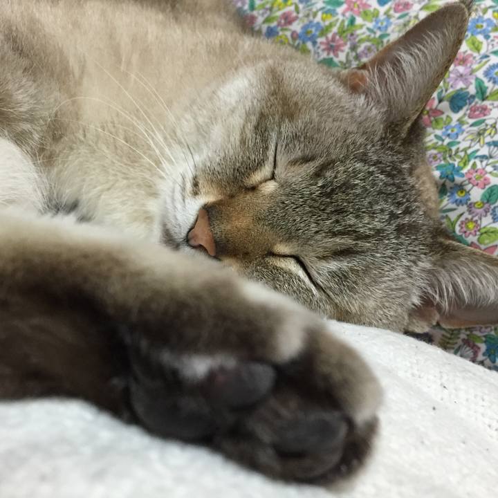 F19216ce 595a 4acb b433 a44d707cad0f