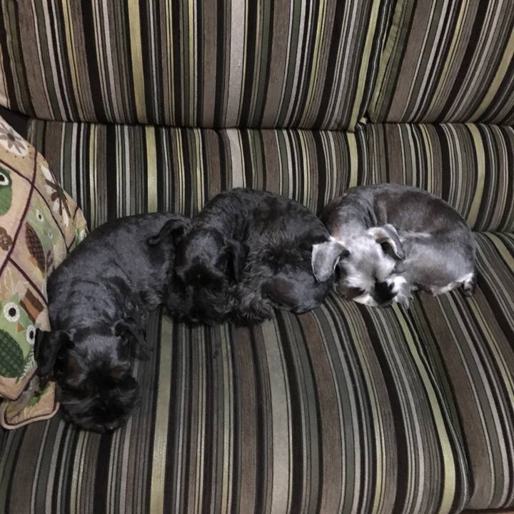 F19230f8 2319 470c a663 ecccfa4dd5ef