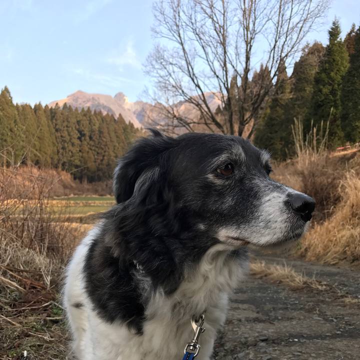 F1926da0 c12c 4805 b31c bc329b6ee774