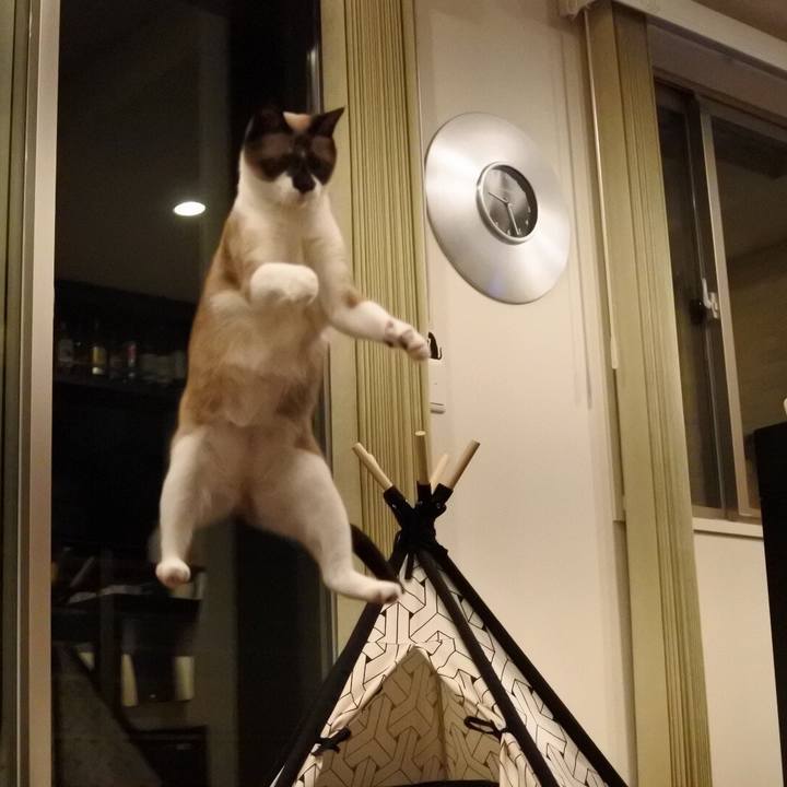 F192e8fa 0d17 4ffa b449 8f4577f13de6